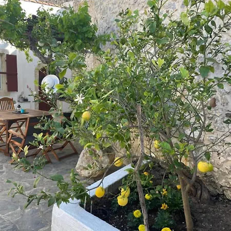 Traditional House Σπίτι διακοπών Trifillianika