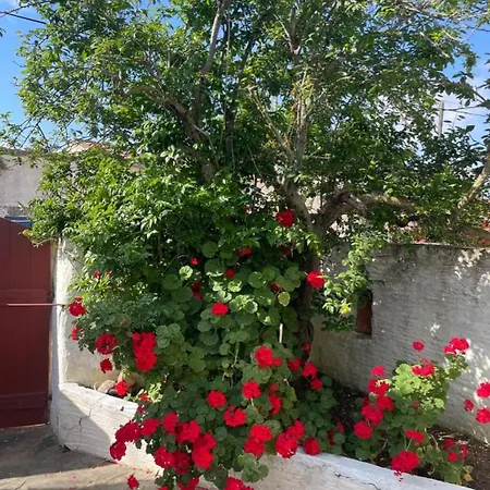 Σπίτι διακοπών Traditional House Trifillianika