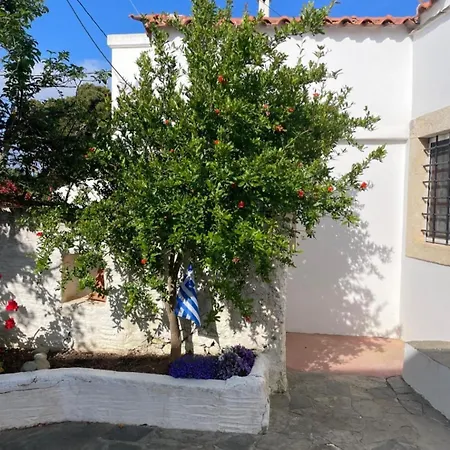Traditional House *